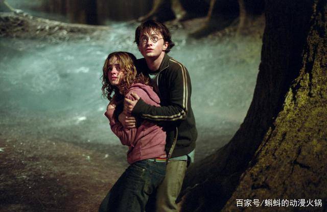 哈利波特电影中被导演深藏的细节哈利为何选择了金妮