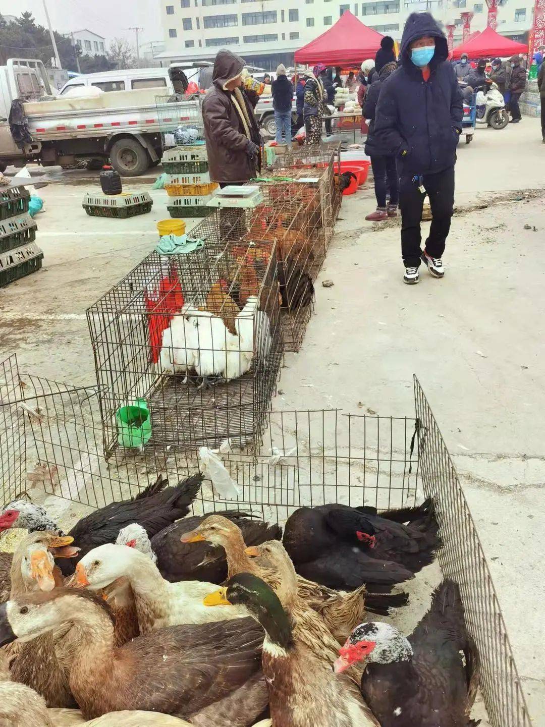 沈阳大集上新​！这份赶集时间表赶紧收藏