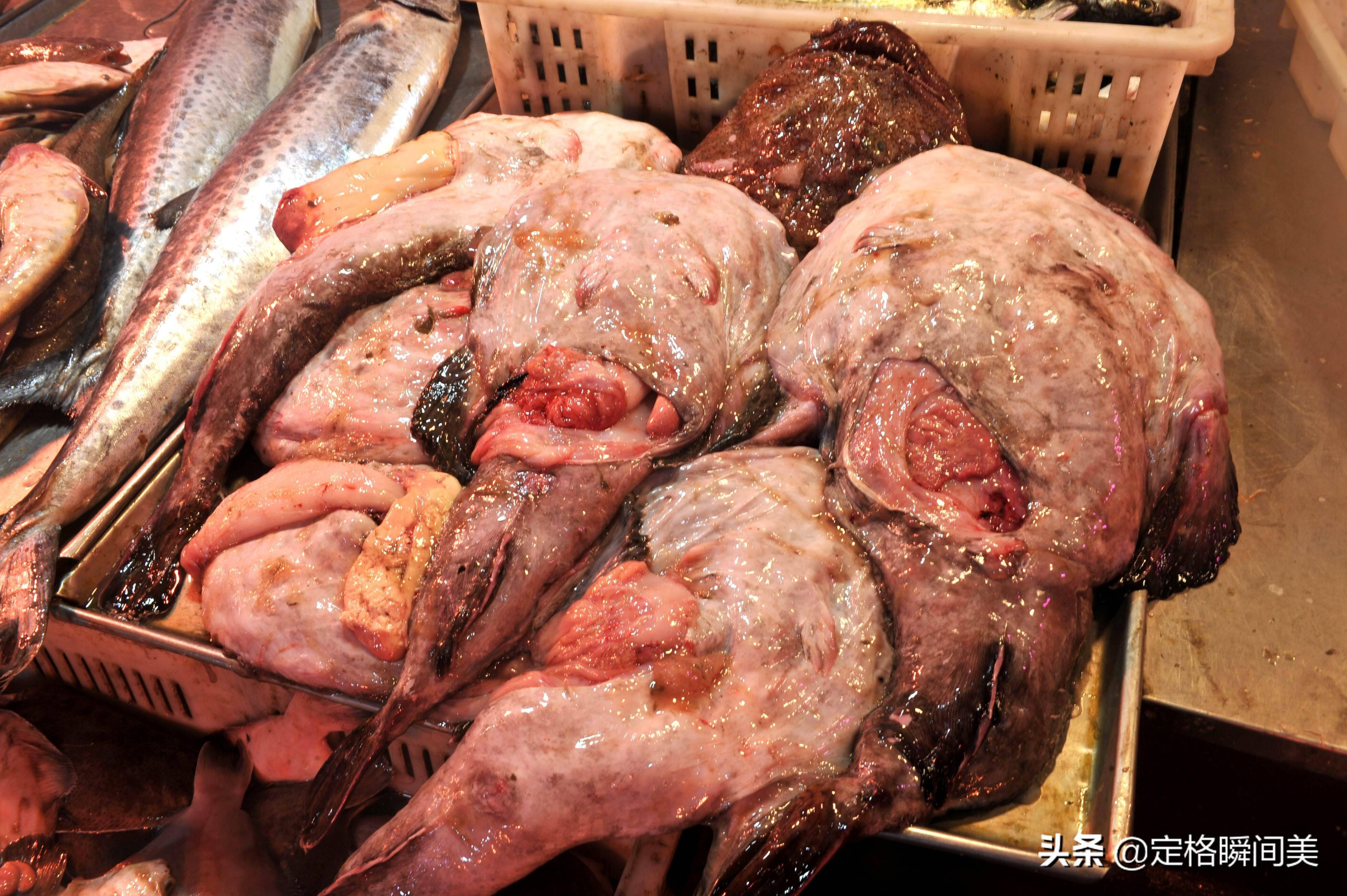 深冬打卡青岛海鲜市场鼓眼鱼35老板鱼17一斤货多批发最划算