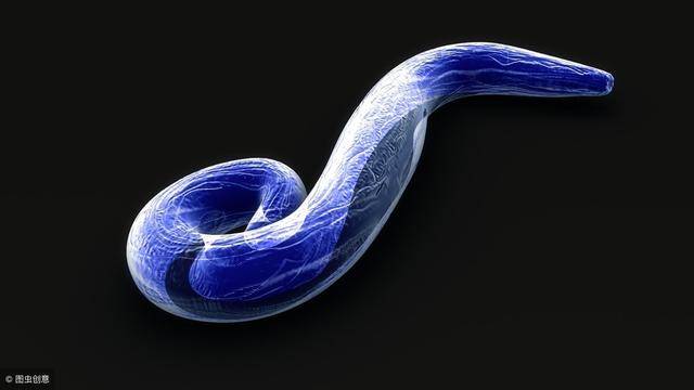 蛇是怎么进化成龙的过程 48b96c6c7a0349f5b88687e13d4ff113.jpeg