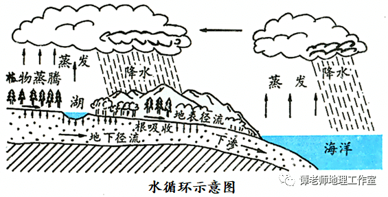 【思维模板】高考地理影响蒸发的因素、影响蒸腾的因素、水循环环节和地理意义、气候变化对水循环的影响！