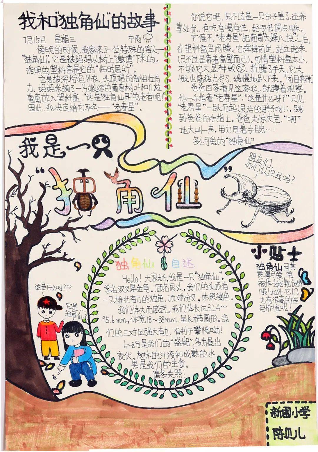 在线作品展示|自然笔记(1)_王琪_沈傅艺_故事