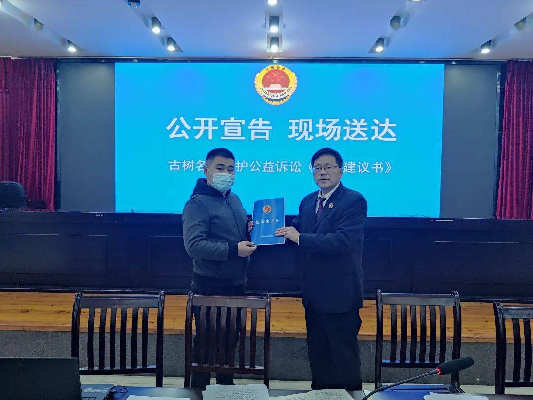 浦城检察公开听证公开送达为古树名木撑起司法保护伞