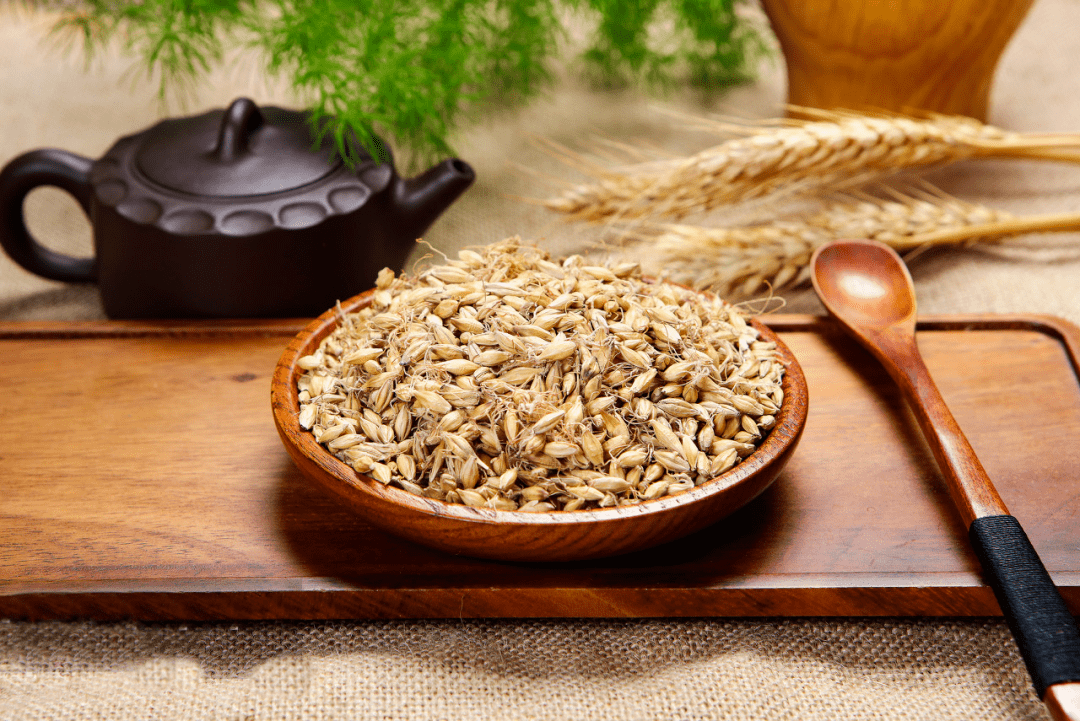 麦芽_脾胃_患者