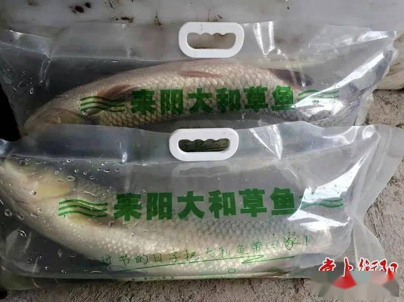 耒阳乃古刘艳辉出名了你认识吗