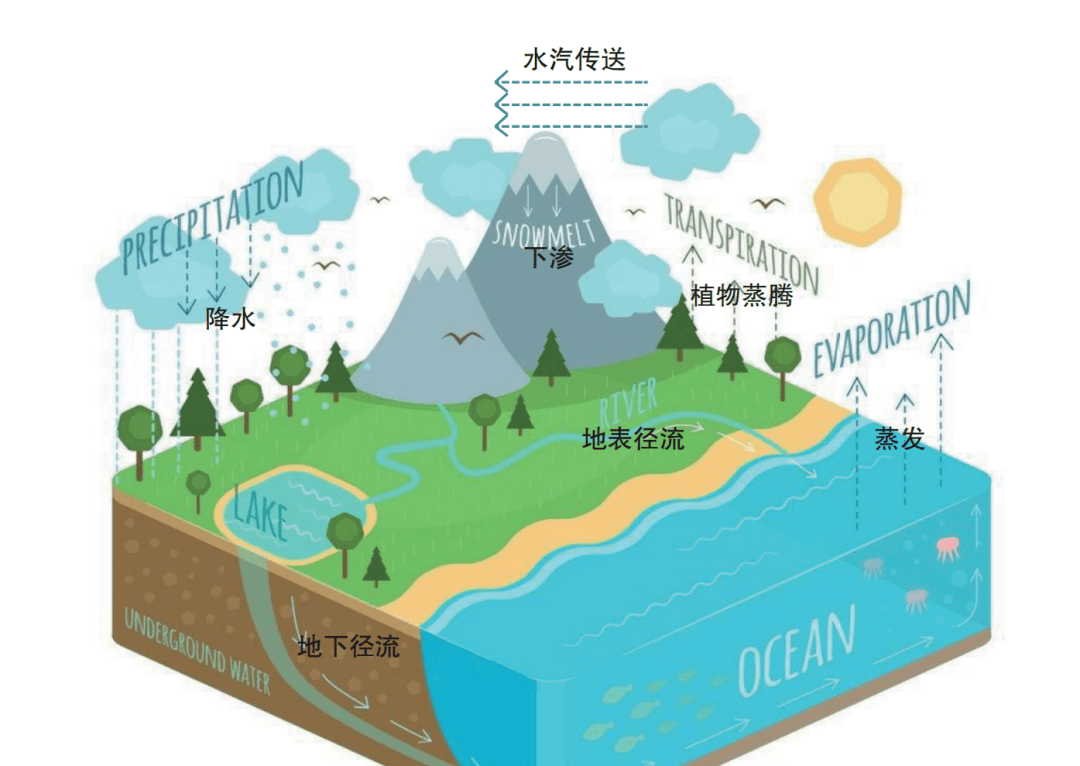 在全球水循環過程中,大氣環流中的水循環是最活躍的,平均每8 天更新