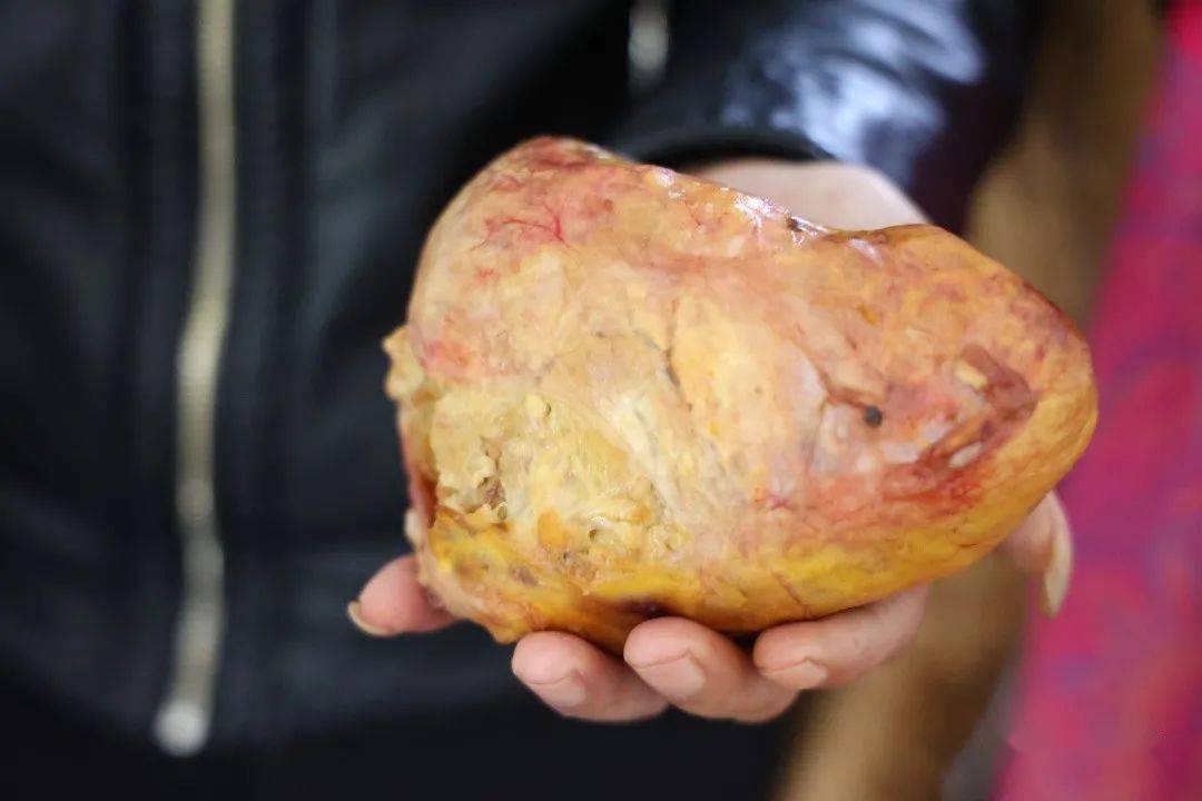 发财了安居男子杀鸡惊现鸡宝价值比黄金贵专家却说