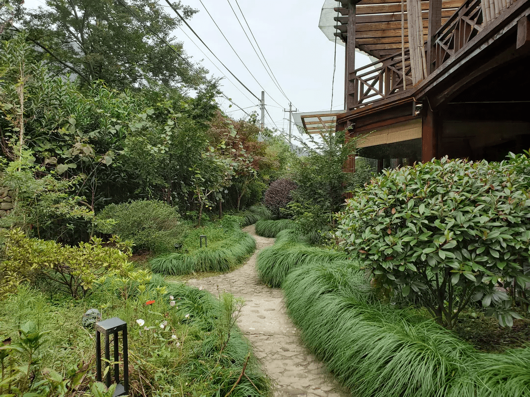 酒店室外採用日式枯山水景觀,白砂石鋪地,點綴其中,簡單而靜謐,融入於