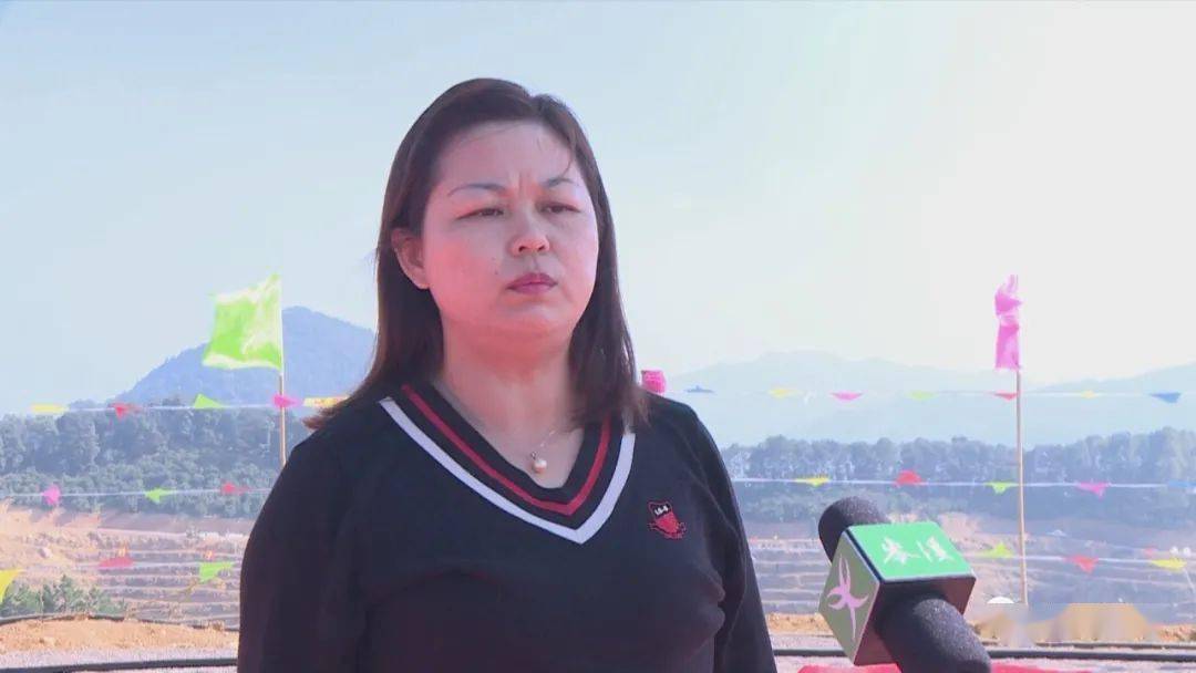 岑溪市水汶镇云会村休闲观光茶园,岑溪市南渡镇盘古田园综合体项目4个