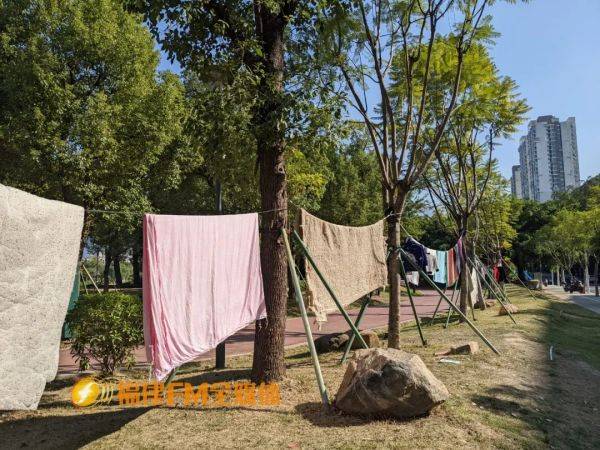 福州吴先生:太尴尬了!内衣裤怎么挂在这里……_公园_亚峰_管理