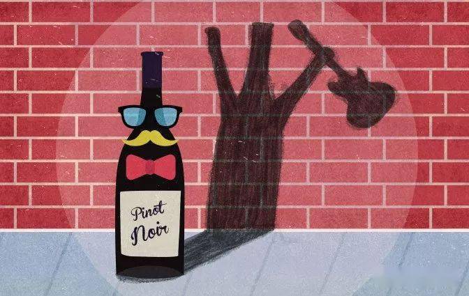 特性|这些常见的葡萄品种,也有你不熟知的一面