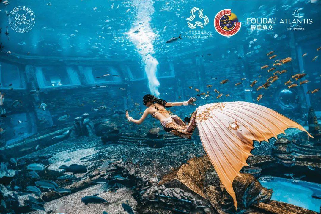 首届中国美人鱼表演赛快讯