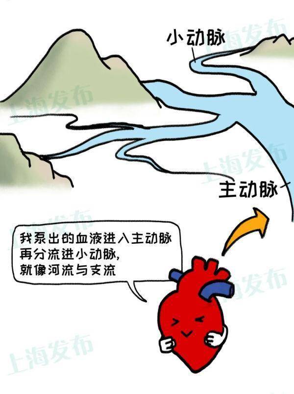 症状|@三高人群，怎样远离心梗/脑梗的威胁？