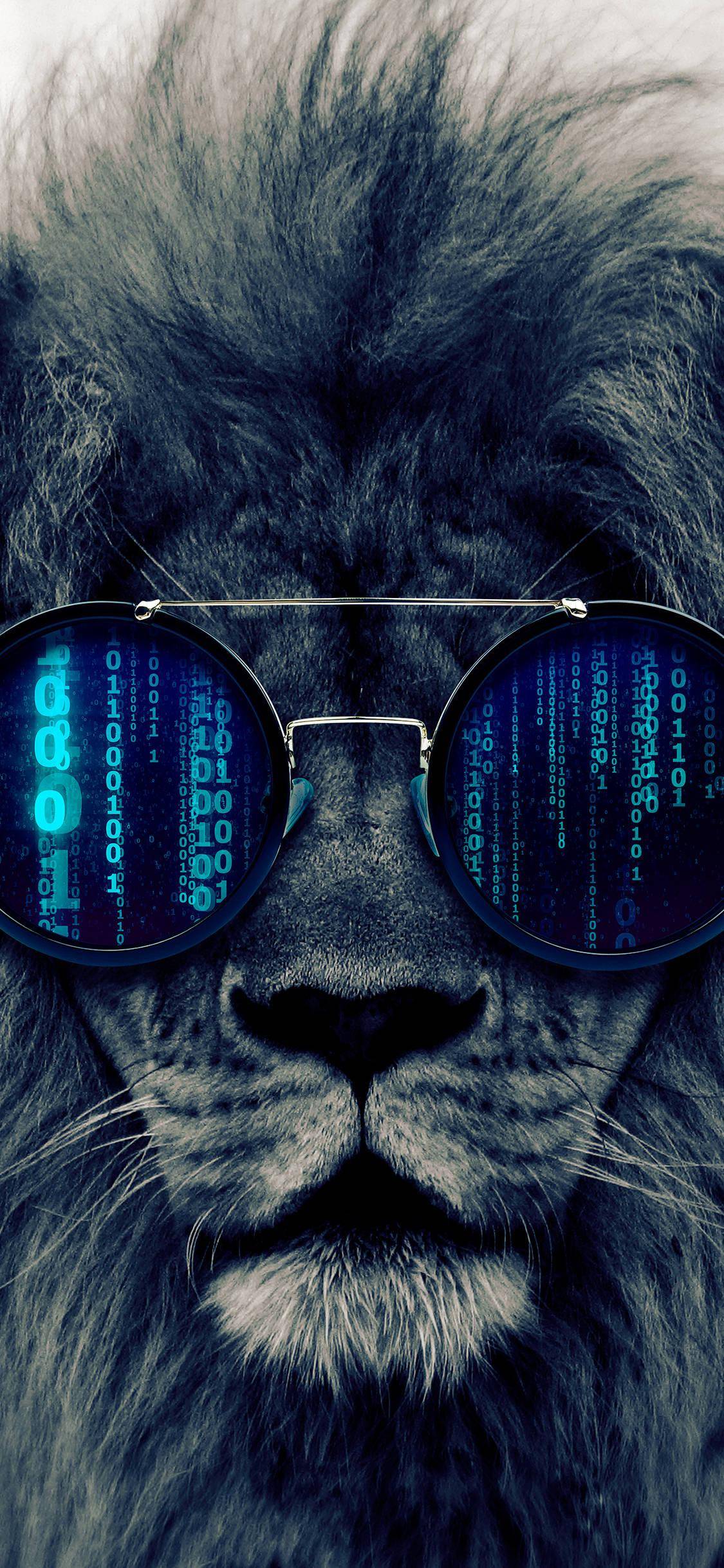 4k超清壁纸分享