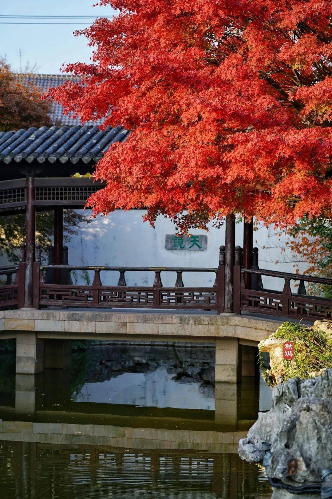 你留意过吗倒影中的松江美景