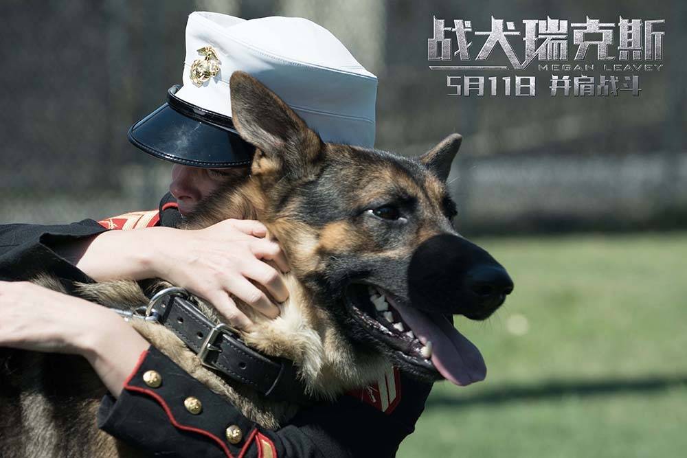 《战犬瑞克斯》今日公映 真情演绎战争版人狗情未了_军犬_梅根·利维