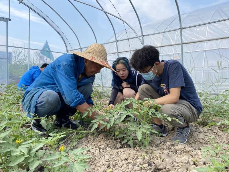 教育|“新农学堂”体会农业生产过程，上海交大以学科特色为劳动教育赋能