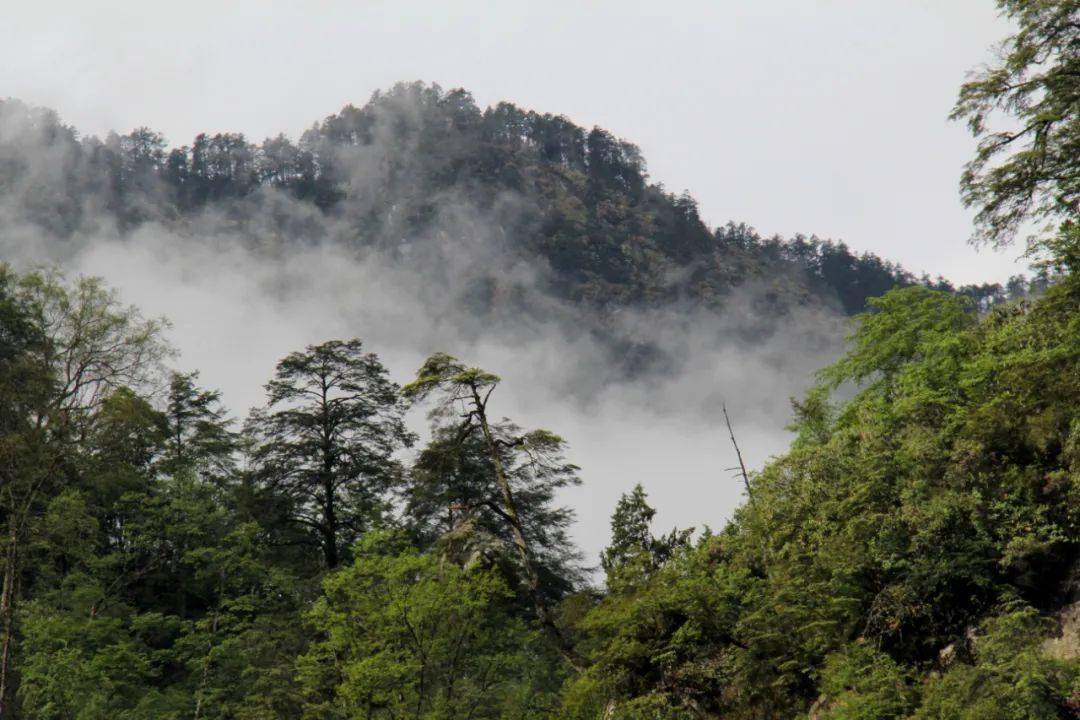 光山|万物生长！青山妩媚！群星之下的国家公园……