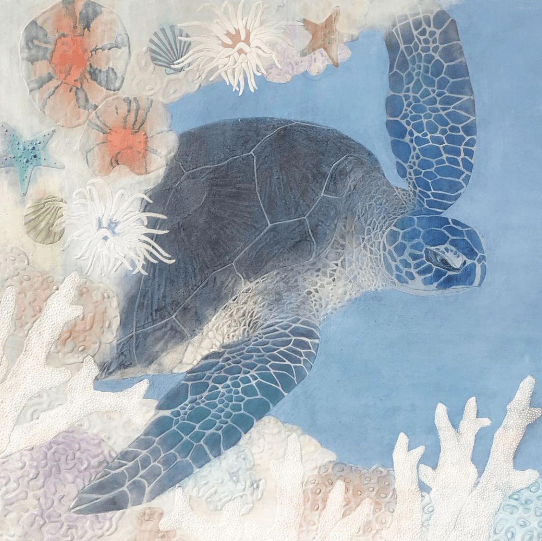 日本艺术家naohirokimura作品欣赏海龟系列