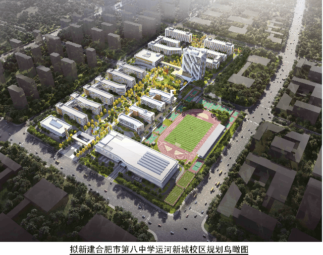 重磅事关合肥八中新校区
