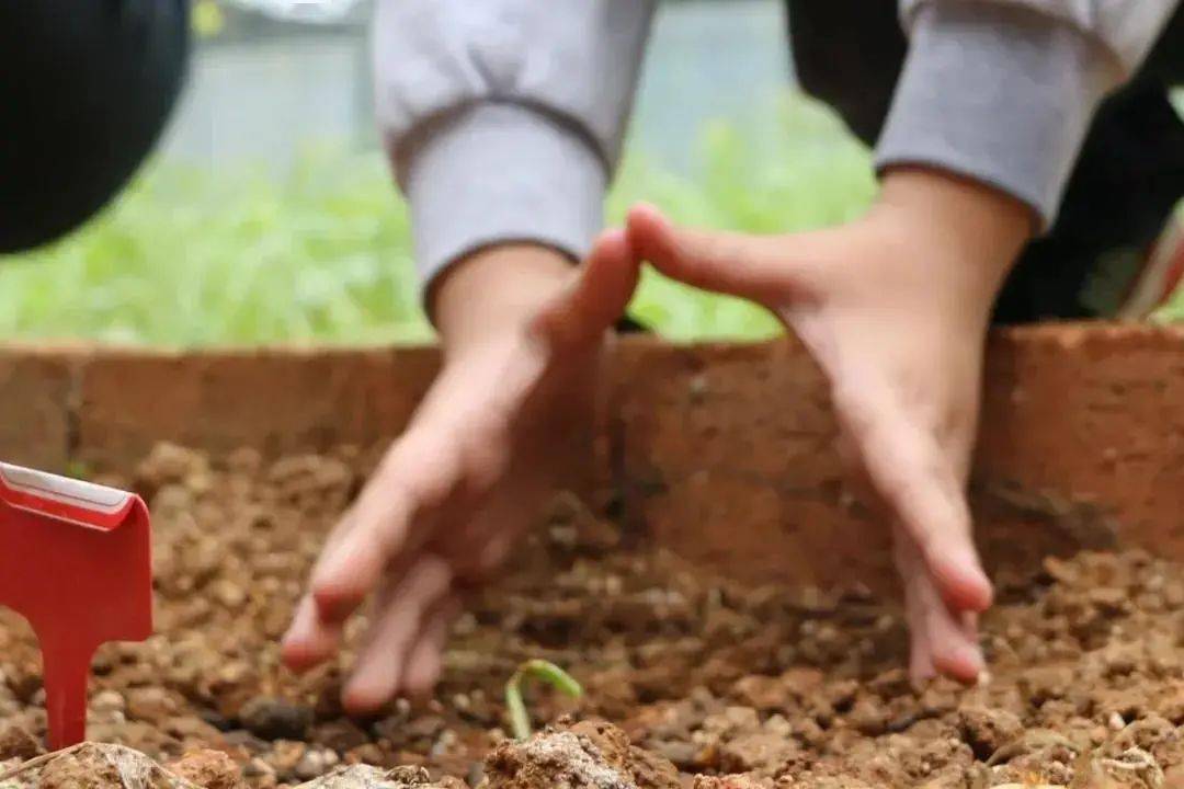 机构|征集 | 朱爱朝校长领衔的二十四节气课程，开放征集实验学校（机构）和班级啦~