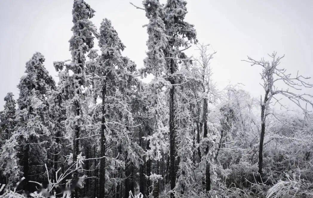 邵陽要下雪啦時間就在