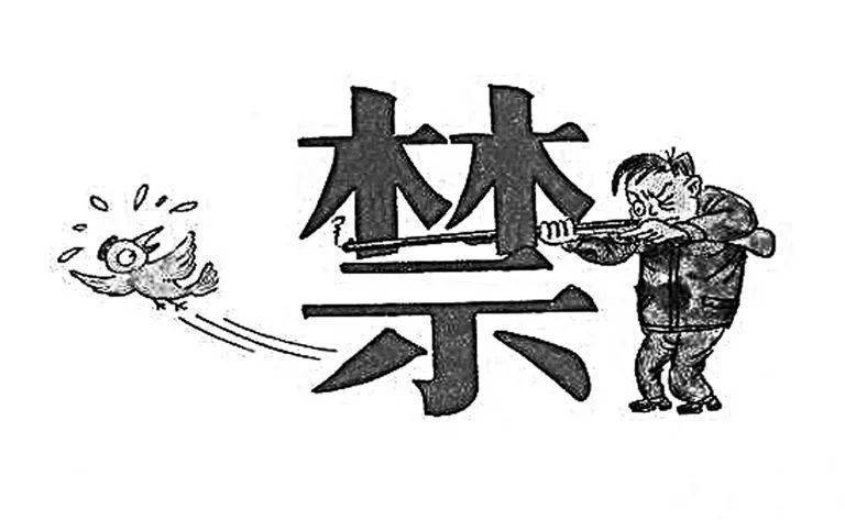 游手好闲去捕鸟竟把自己捕进网