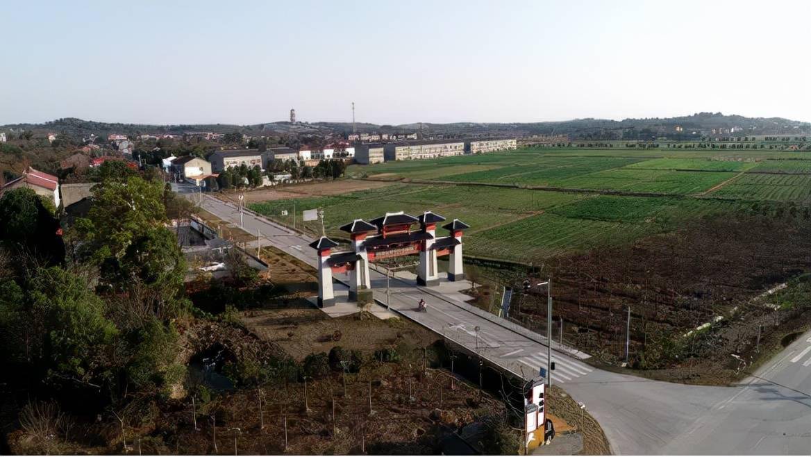 荆州区八岭山镇:改善群众出行 助力幸福之城_建设_农村_村民