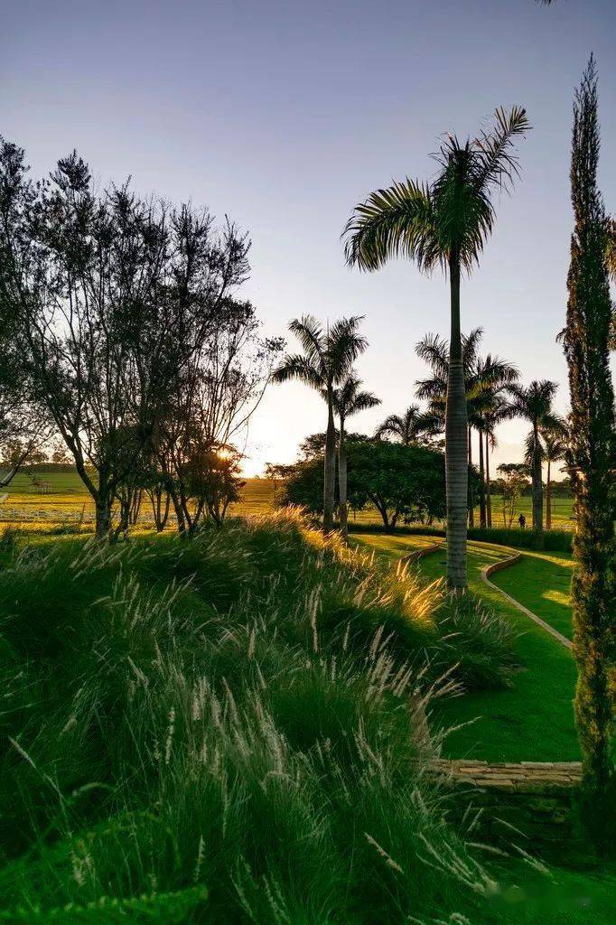 jardim_微信_新景观