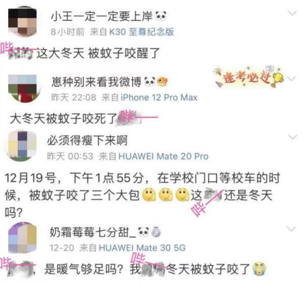 病媒|熬过夏天却躲不过冬天！专家提醒