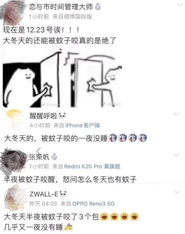 病媒|熬过夏天却躲不过冬天！专家提醒