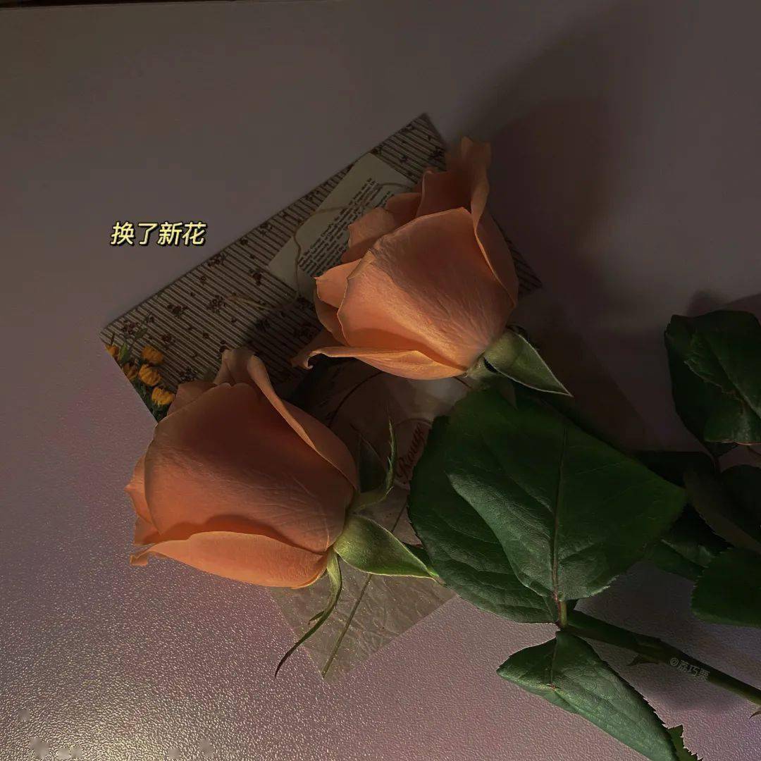 朋友圈背景图_生活_emo_文案
