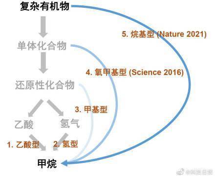 沼气|重大发现！产甲烷古菌的碳代谢新途径被发现