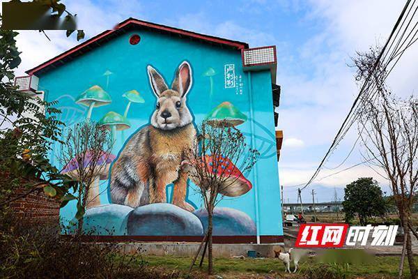 标准化新变化南岳荆田村以标准化建设助推乡村治理展新颜