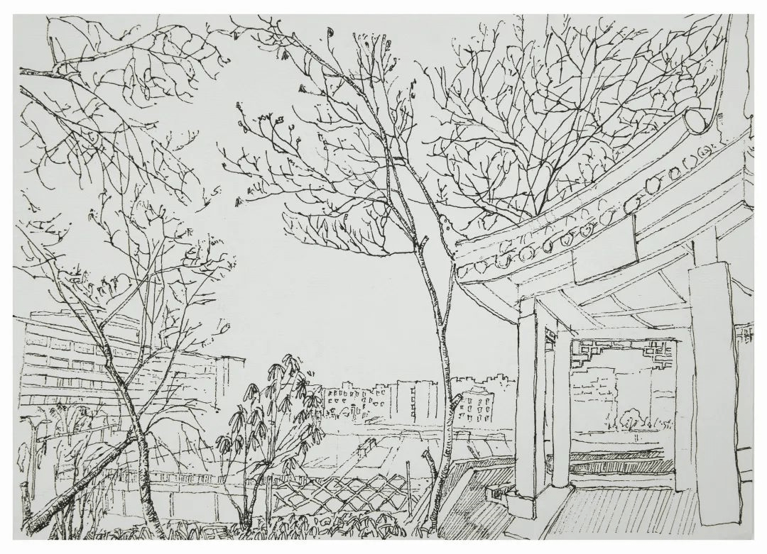 快来看看你的母校吧每一张手绘都"神还原"绵外的场景记忆中的校园与绵