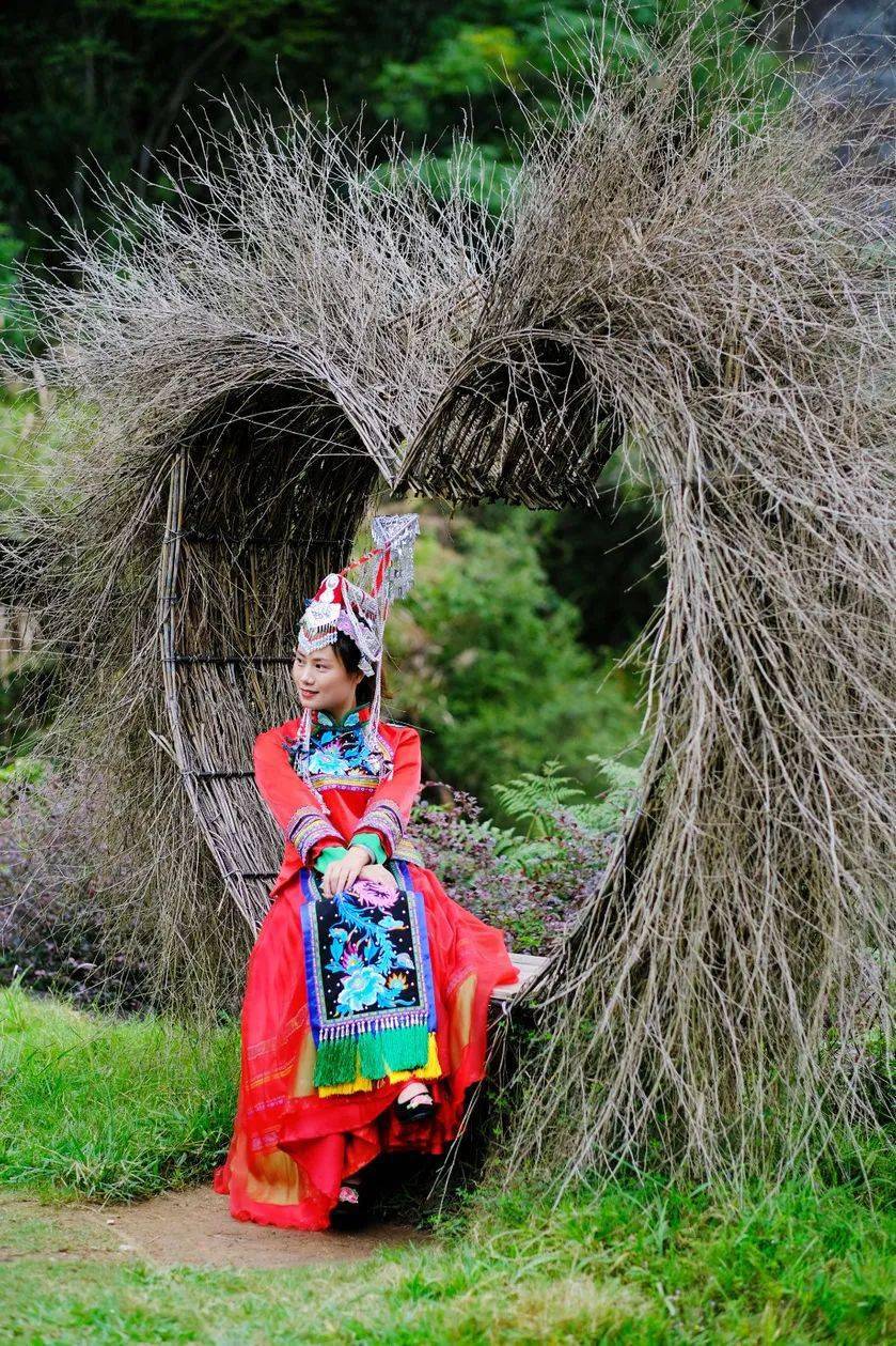 "畲族凤凰"在东西岩舞翩翩,千年畲乡与万年丹霞的邂逅