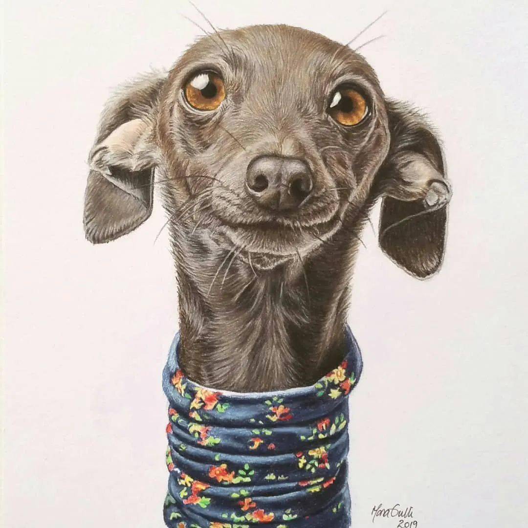 彩铅动物画我可爱吗