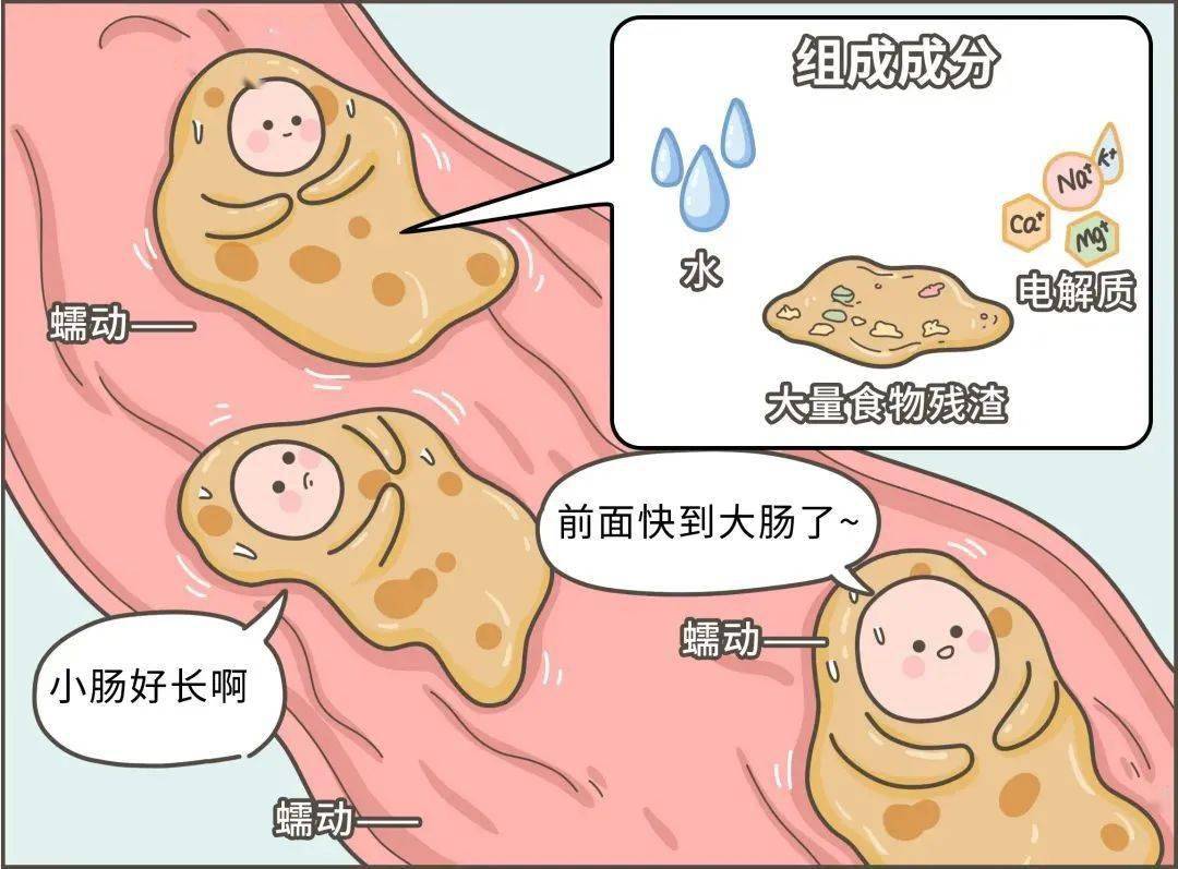 臭味|到底吃什么了？有些人的屎怎么会那么臭！