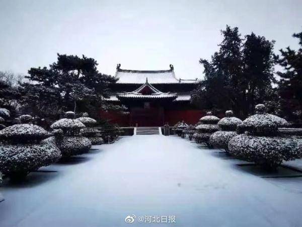 客运|石家庄最大积雪深度5厘米！部分公交、客运停运，高速管控，铁路晚点，还有……