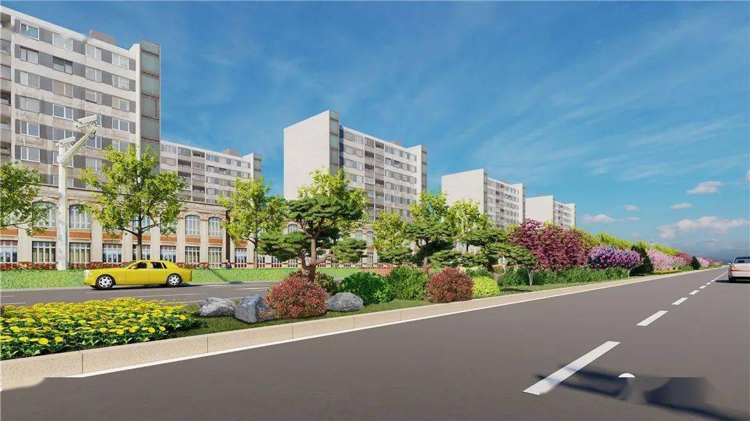 定州这条主干道增设中央绿化隔离带工作正在进行中