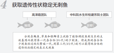 来源|吃鱼不挑刺？高校重大突破！网友有个大胆的想法......