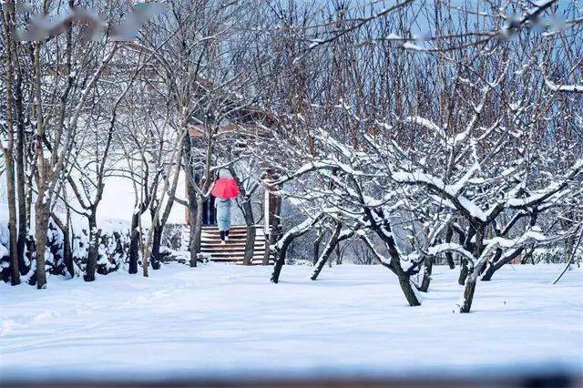 水彩画|一场大雪后，威海里口山美成了“雪域天堂”