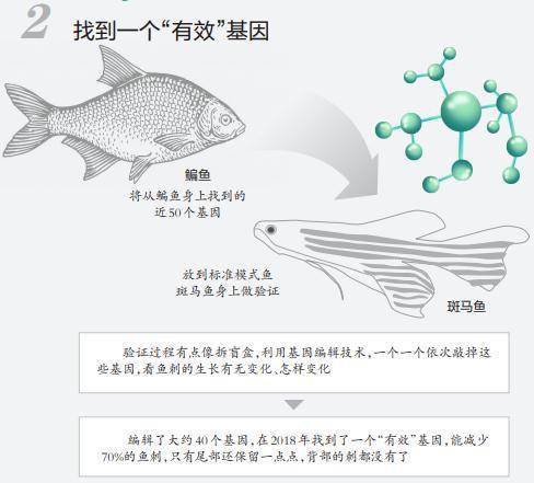 大口|什么？吃鱼不用挑刺，可以大口吞！吃货们提出了更大胆的想法