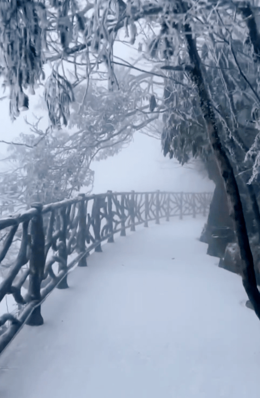 下雪了好冷啊图片图片