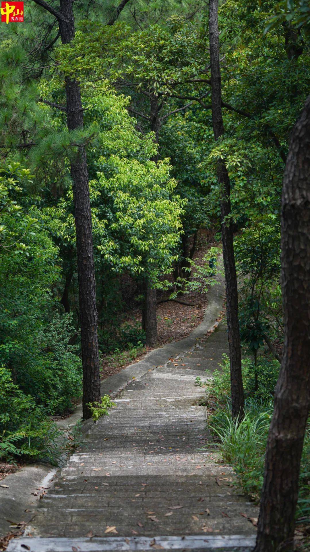 与江水相互依偎的金钟山公园,景色秀丽,山下有龙王庙,古井.