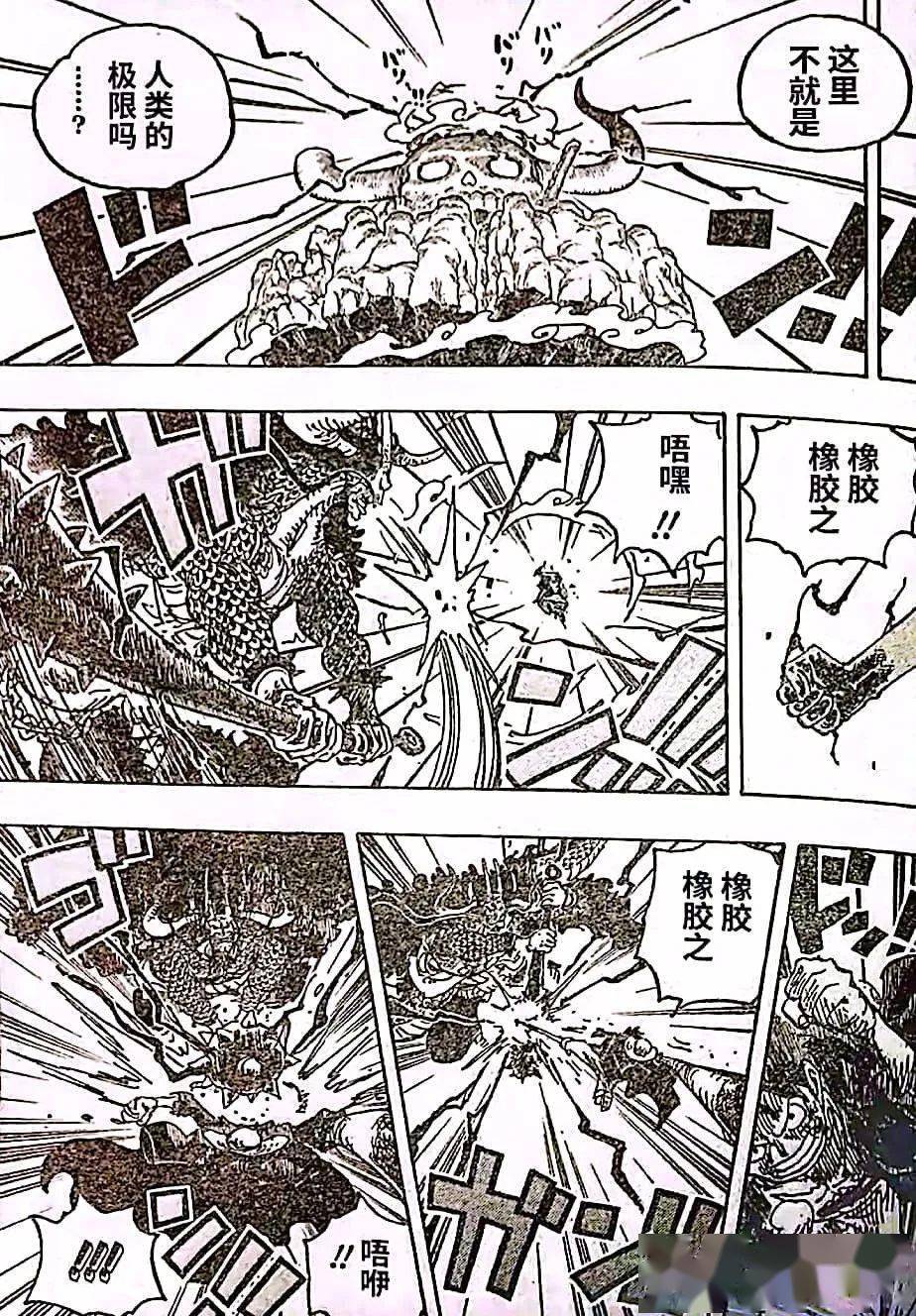 海贼王,海贼王,汉化版|海贼王 1036话 汉化版