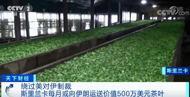 沒有錢，「分期付茶」還債？！伊朗同意了！ 國際 第4張