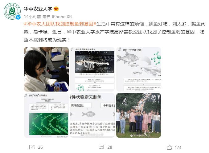 来源|重大突破！以后吃鱼或无需挑刺！吃货们坐不住了…