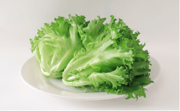 润惠智能植物工厂