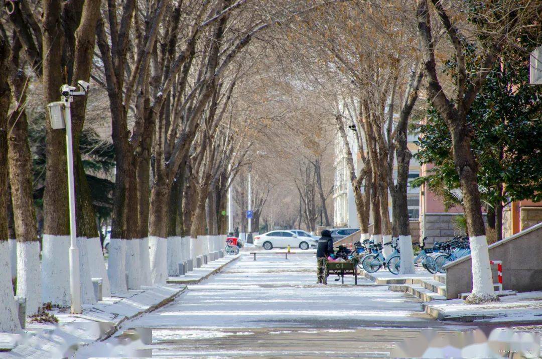 咱就是說這是你期待已久的青島農業大學的雪嗎